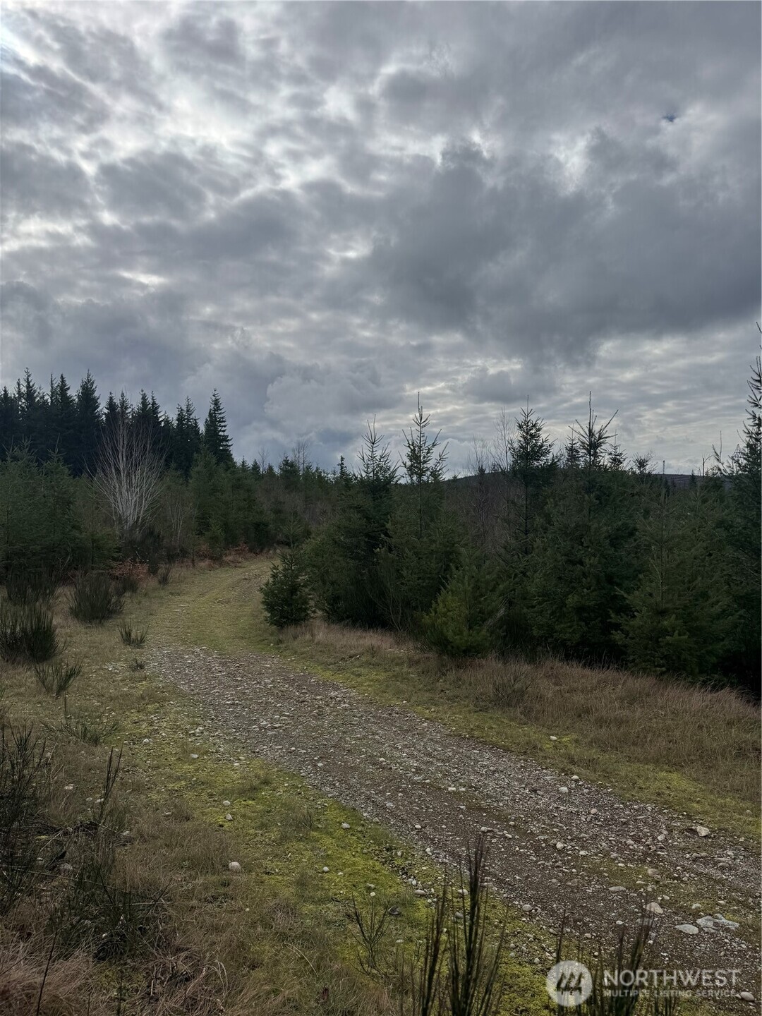 31101 SE Retreat-Kanaskat Road , Ravensdale, WA 98051