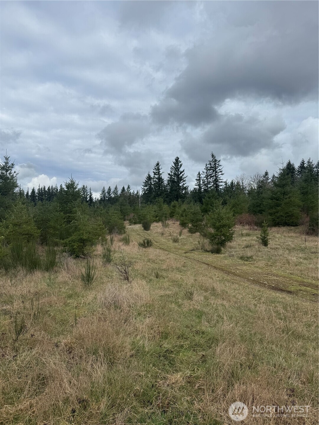 31101 SE Retreat-Kanaskat Road , Ravensdale, WA 98051