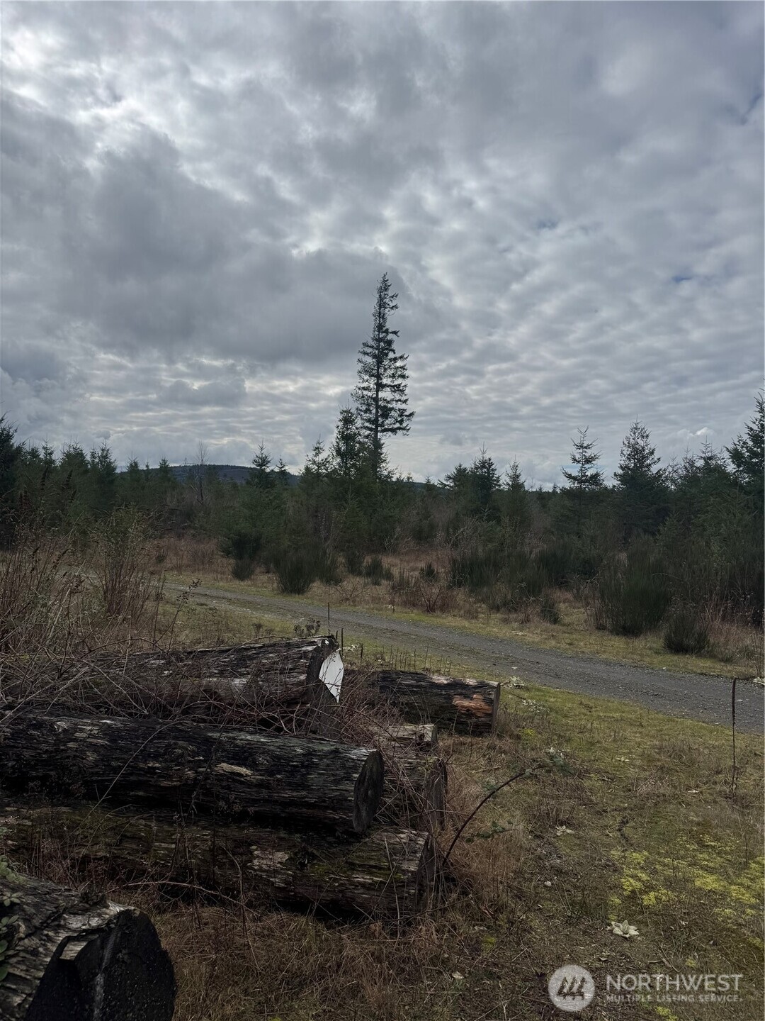 31101 SE Retreat-Kanaskat Road , Ravensdale, WA 98051