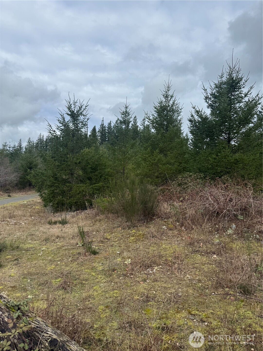 31101 SE Retreat-Kanaskat Road , Ravensdale, WA 98051