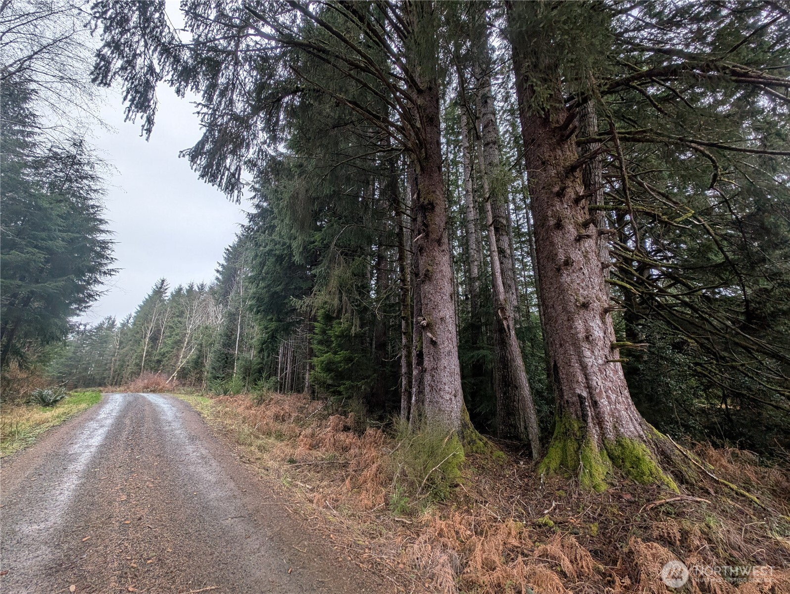 9991 Quillayute Road , Forks, WA 98331