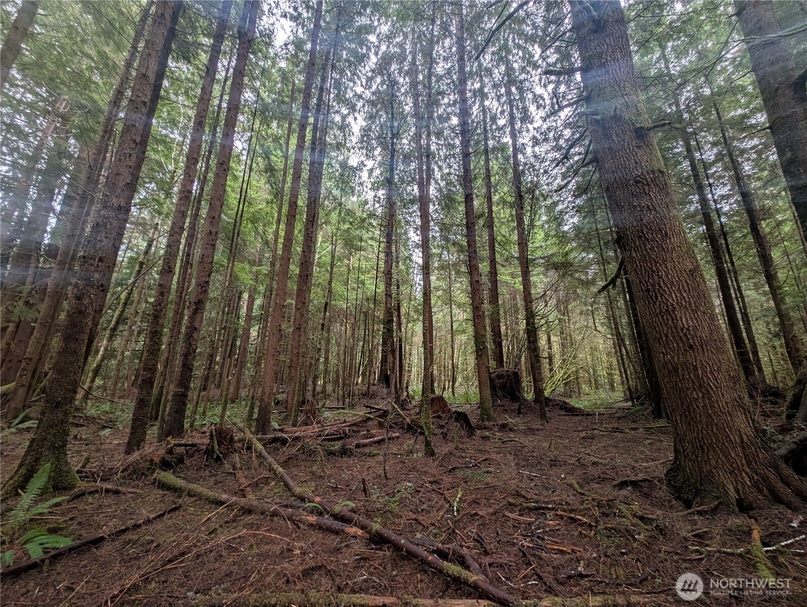 9991 Quillayute Road , Forks, WA 98331