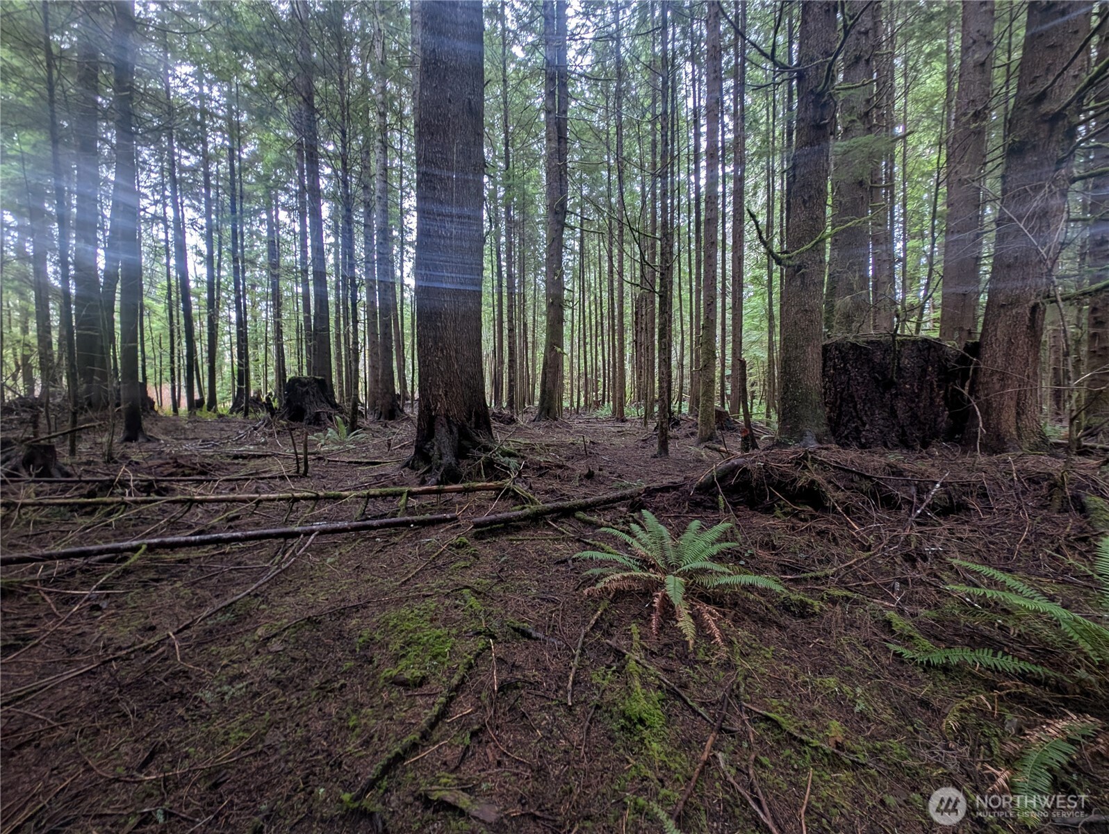 9991 Quillayute Road , Forks, WA 98331