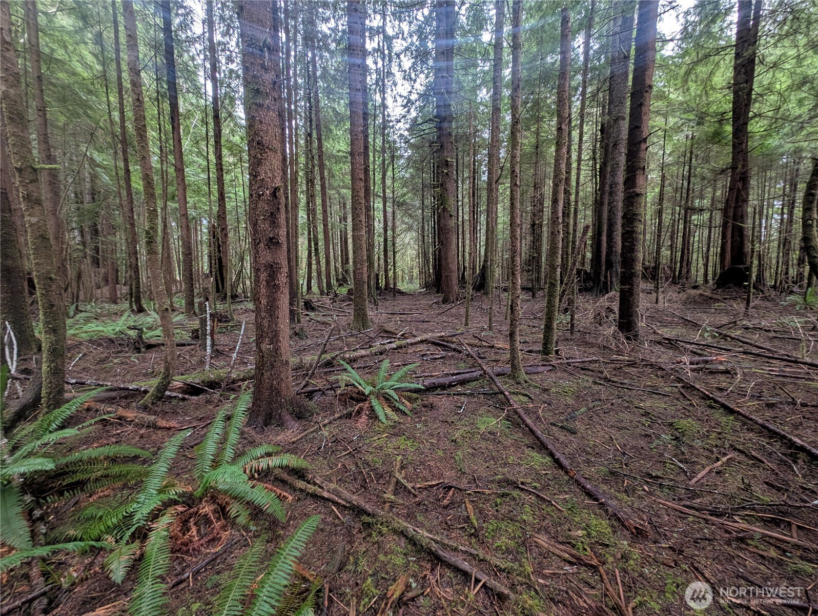 9991 Quillayute Road , Forks, WA 98331