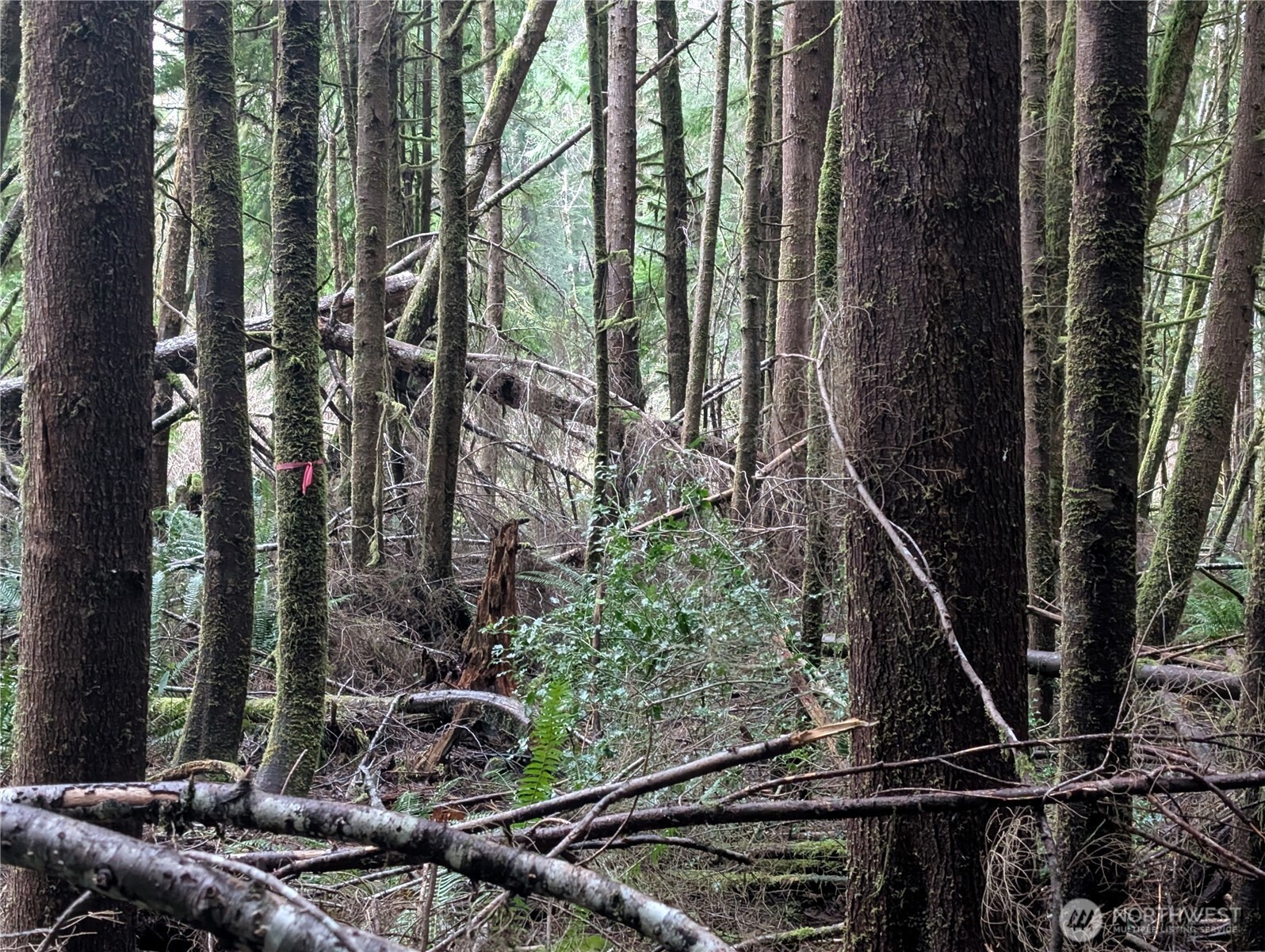 9991 Quillayute Road , Forks, WA 98331