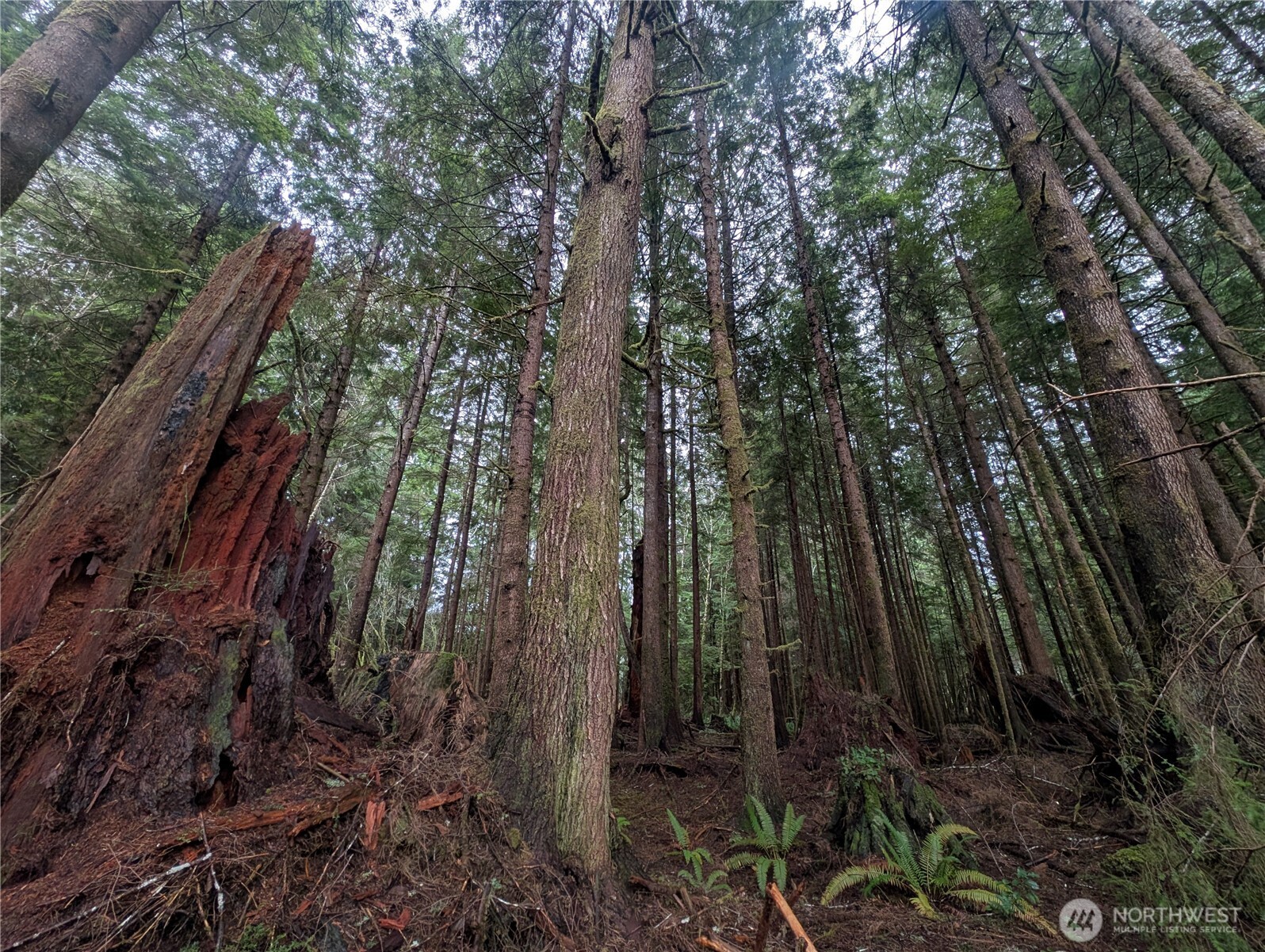 9991 Quillayute Road , Forks, WA 98331