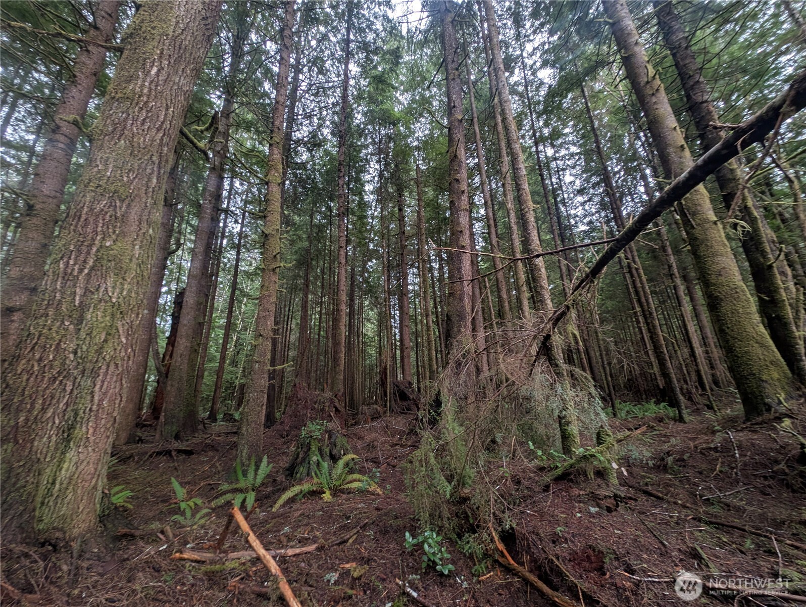 9991 Quillayute Road , Forks, WA 98331