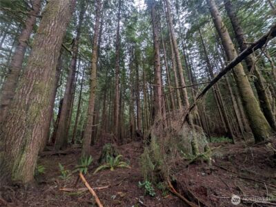 9991 Quillayute Road , Forks, WA 98331 - Photo 15