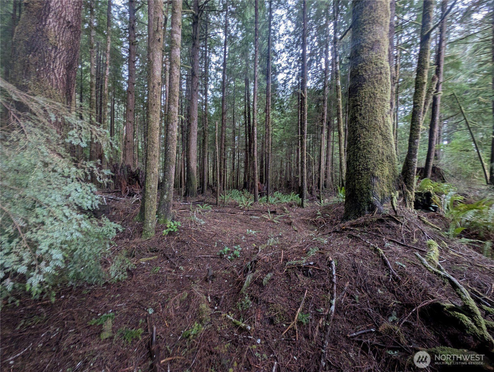 9991 Quillayute Road , Forks, WA 98331