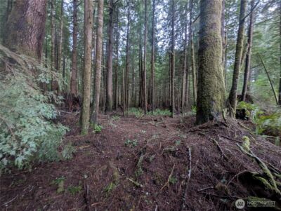 9991 Quillayute Road , Forks, WA 98331 - Photo 16