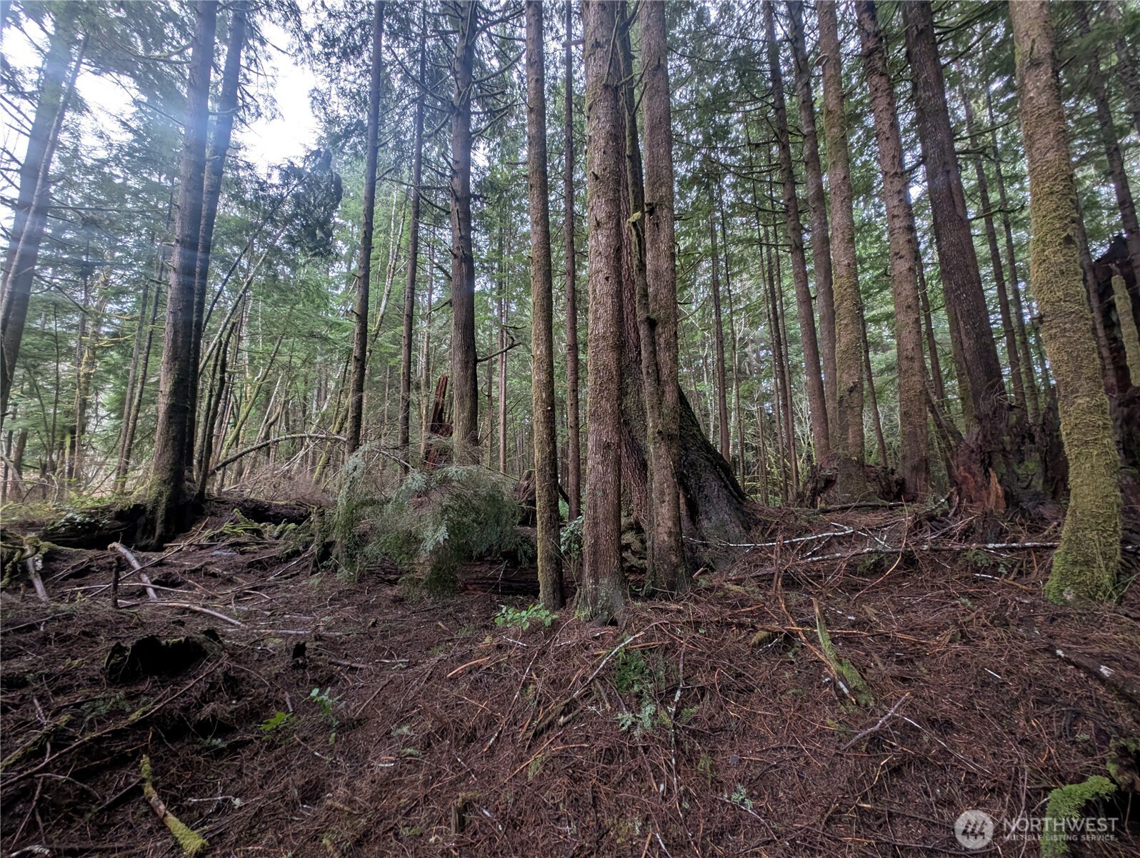 9991 Quillayute Road , Forks, WA 98331