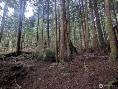 9991 Quillayute Road , Forks, WA 98331 - Photo 17