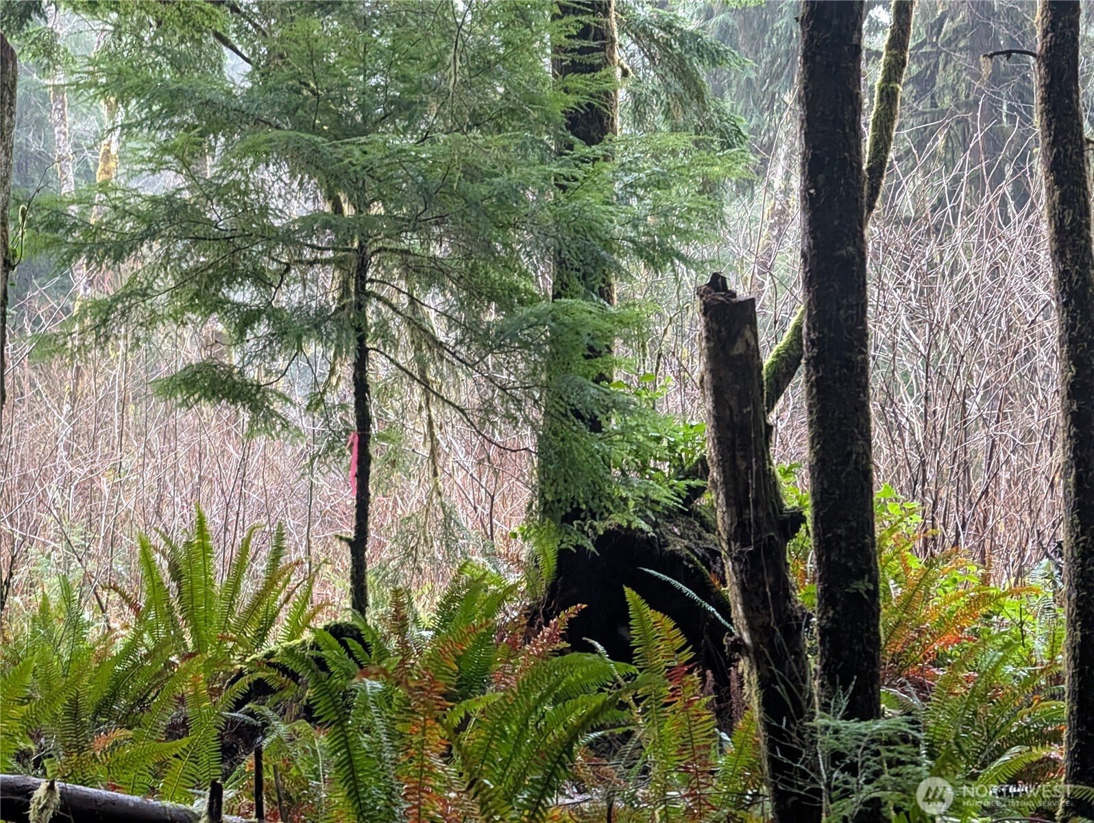 9991 Quillayute Road , Forks, WA 98331