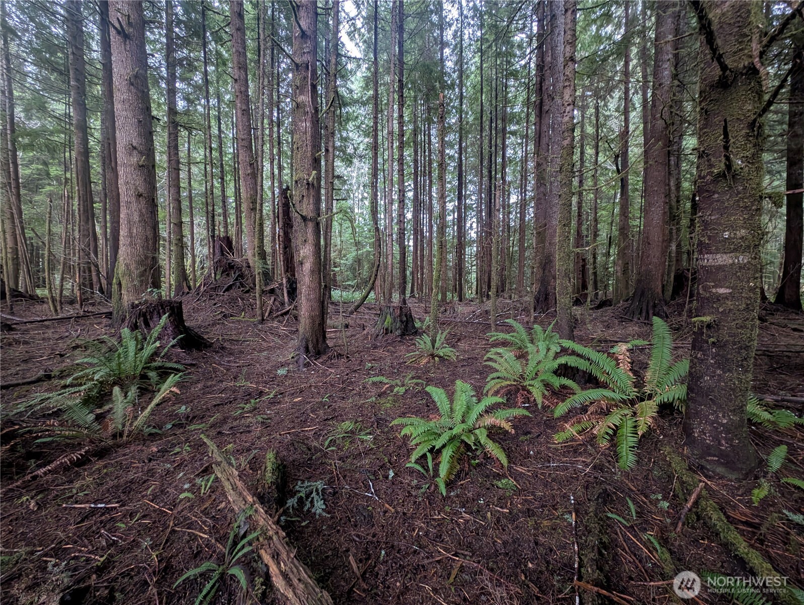 9991 Quillayute Road , Forks, WA 98331