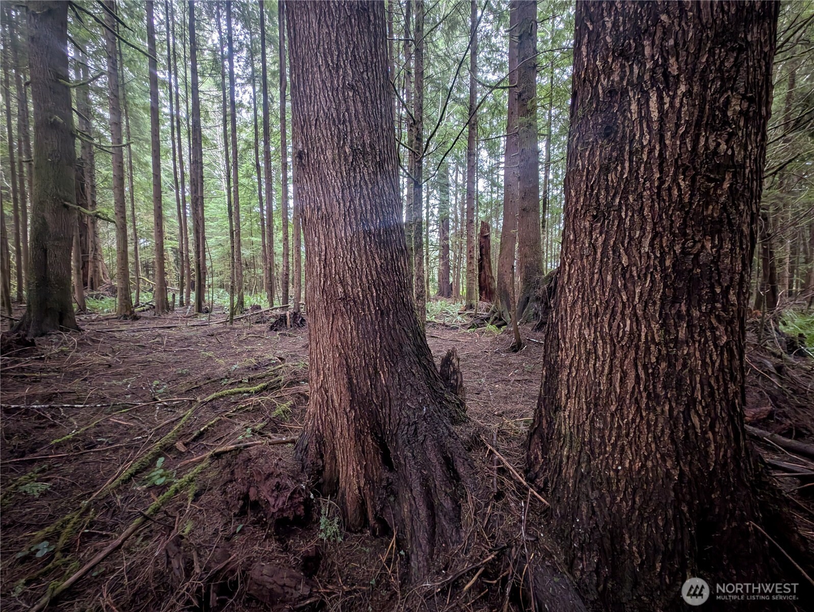 9991 Quillayute Road , Forks, WA 98331