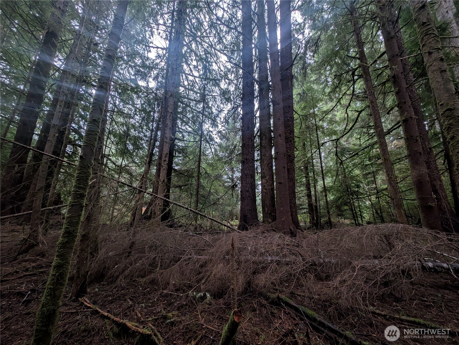 9991 Quillayute Road , Forks, WA 98331