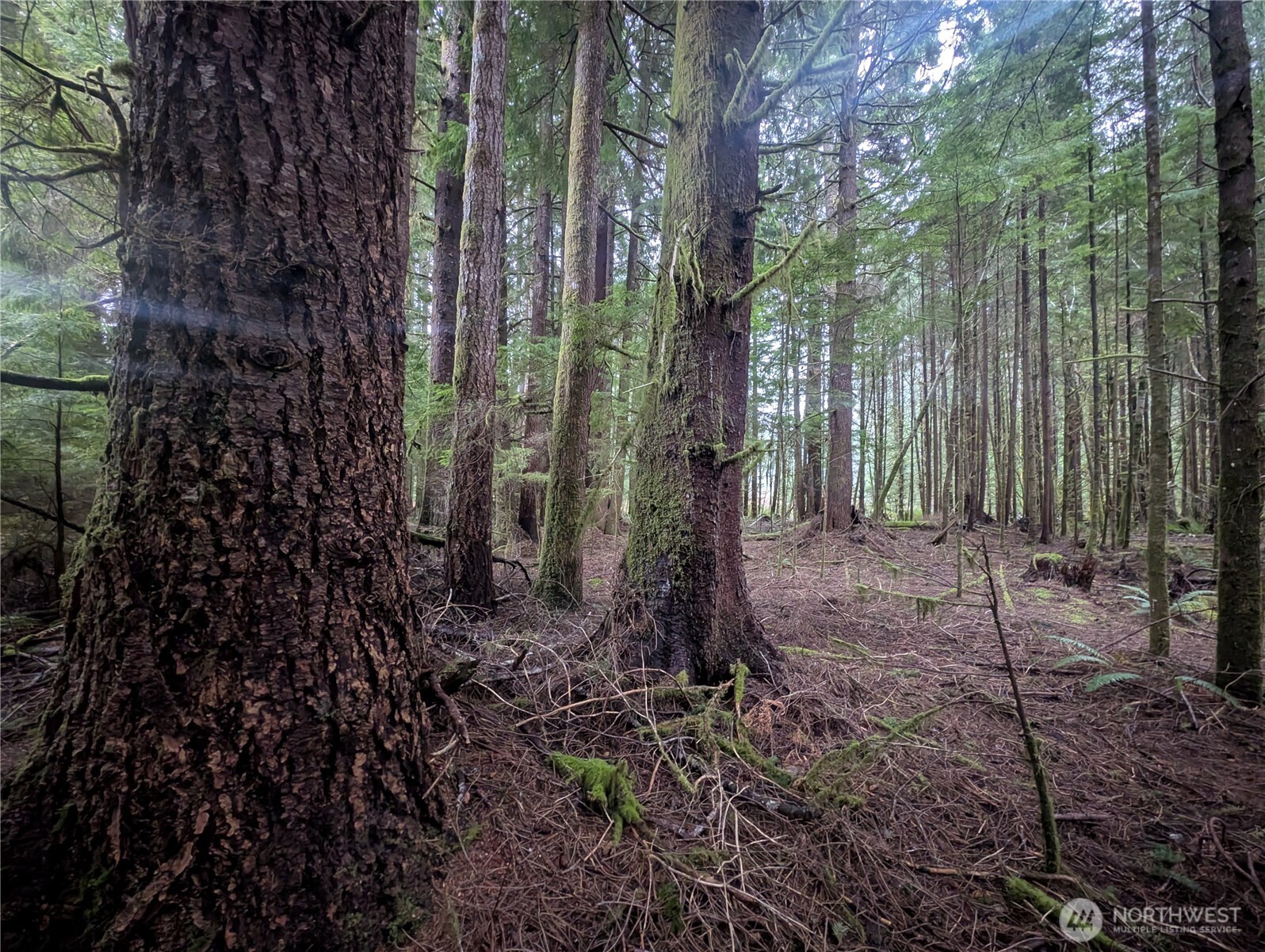 9991 Quillayute Road , Forks, WA 98331