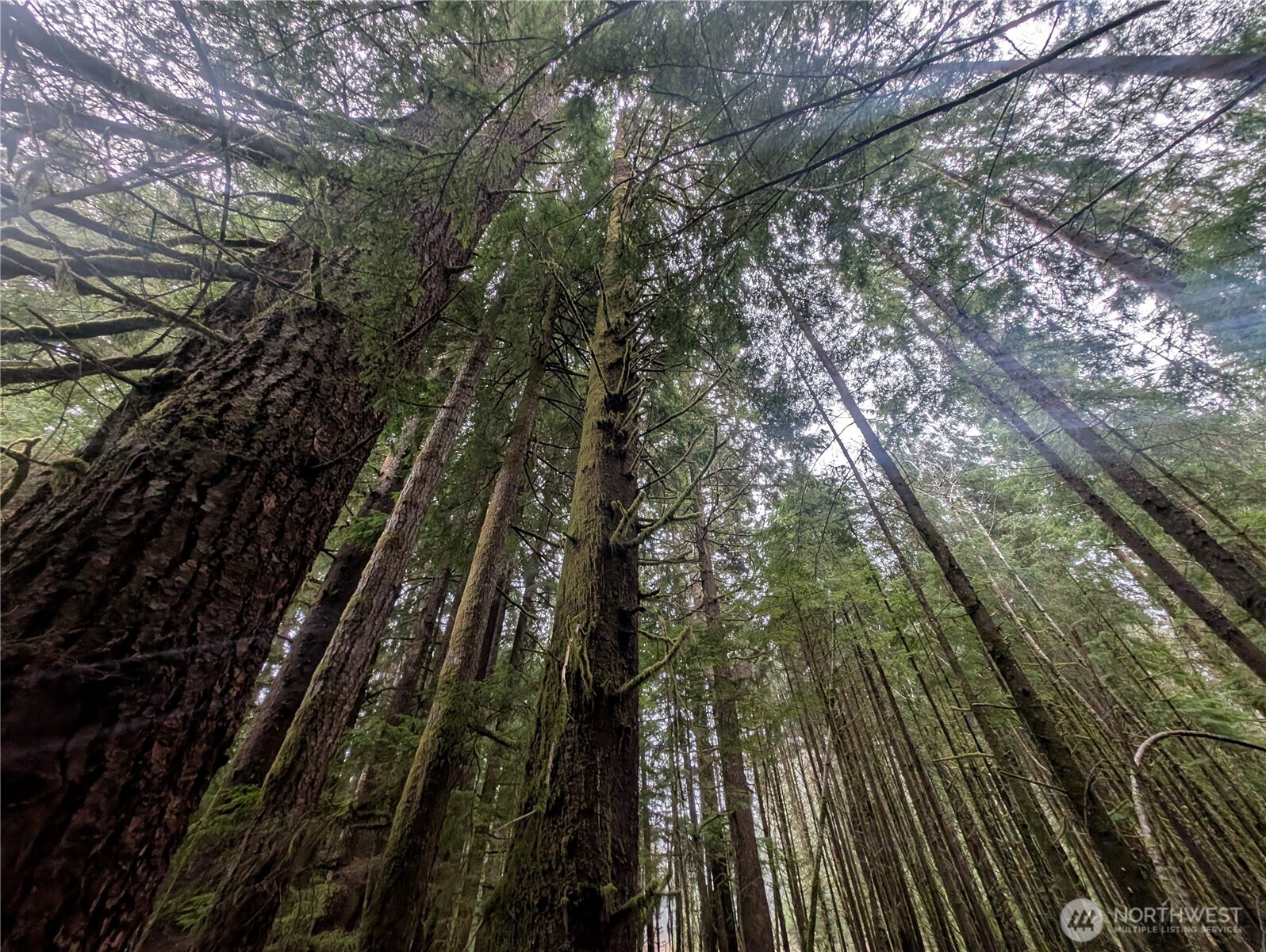 9991 Quillayute Road , Forks, WA 98331