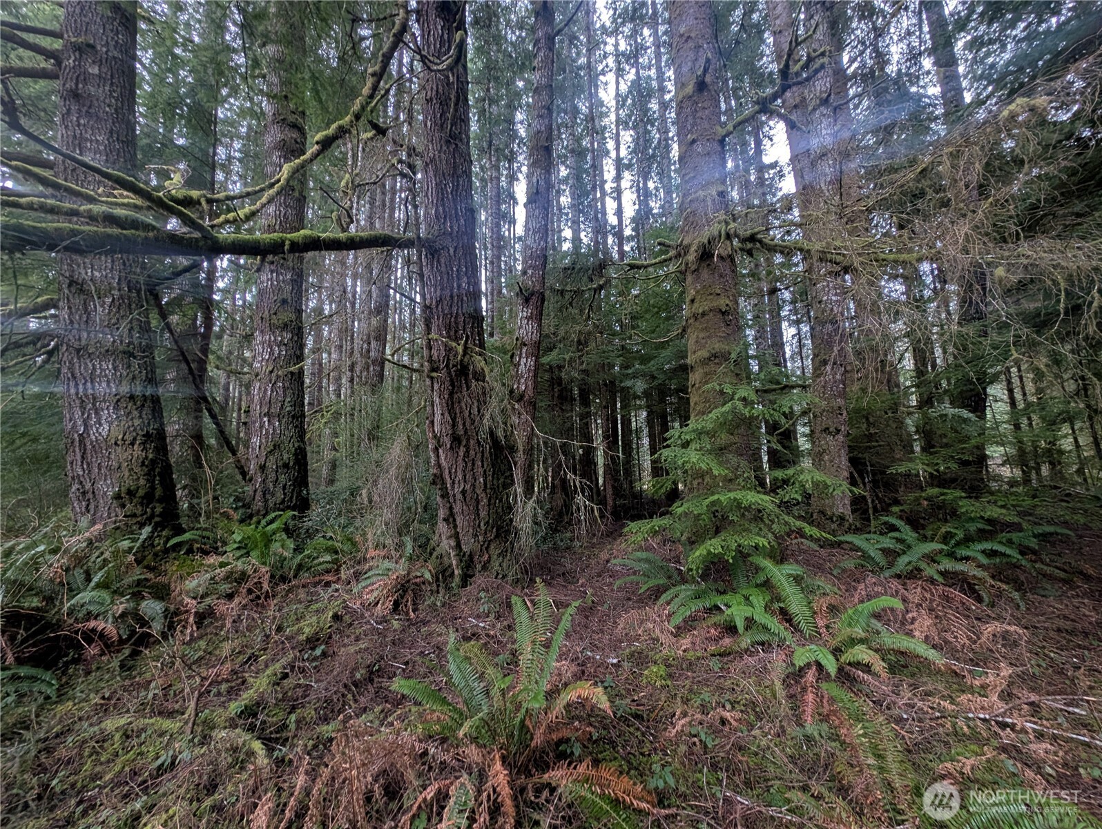 9991 Quillayute Road , Forks, WA 98331