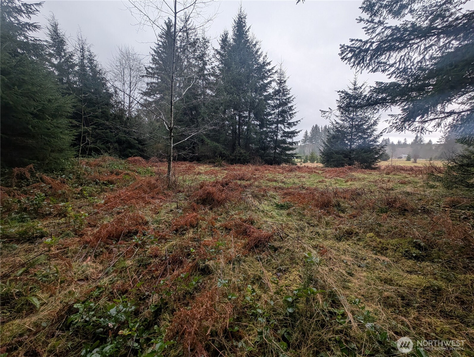 9991 Quillayute Road , Forks, WA 98331