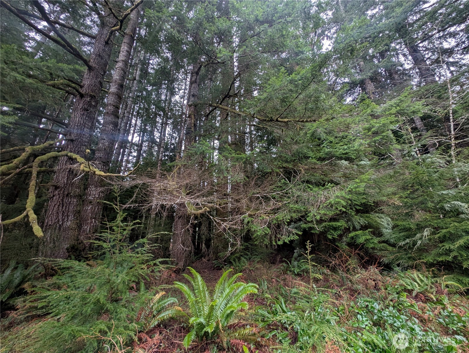 9991 Quillayute Road , Forks, WA 98331