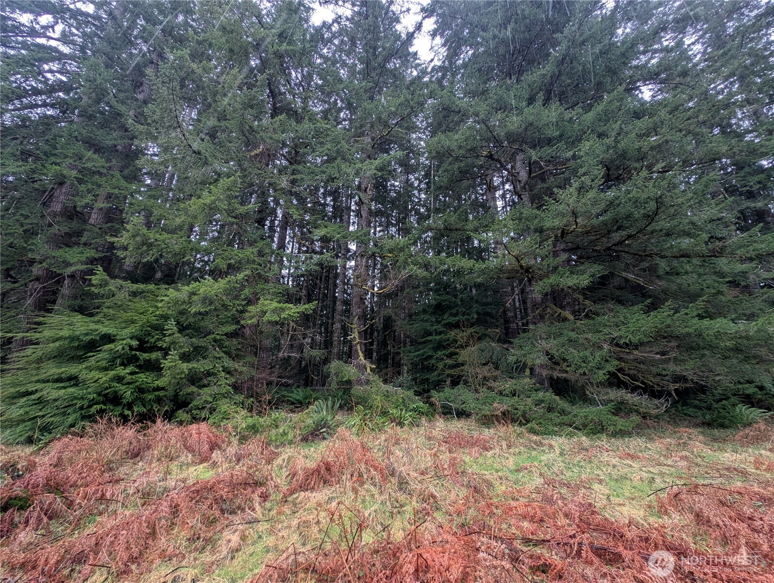 9991 Quillayute Road , Forks, WA 98331