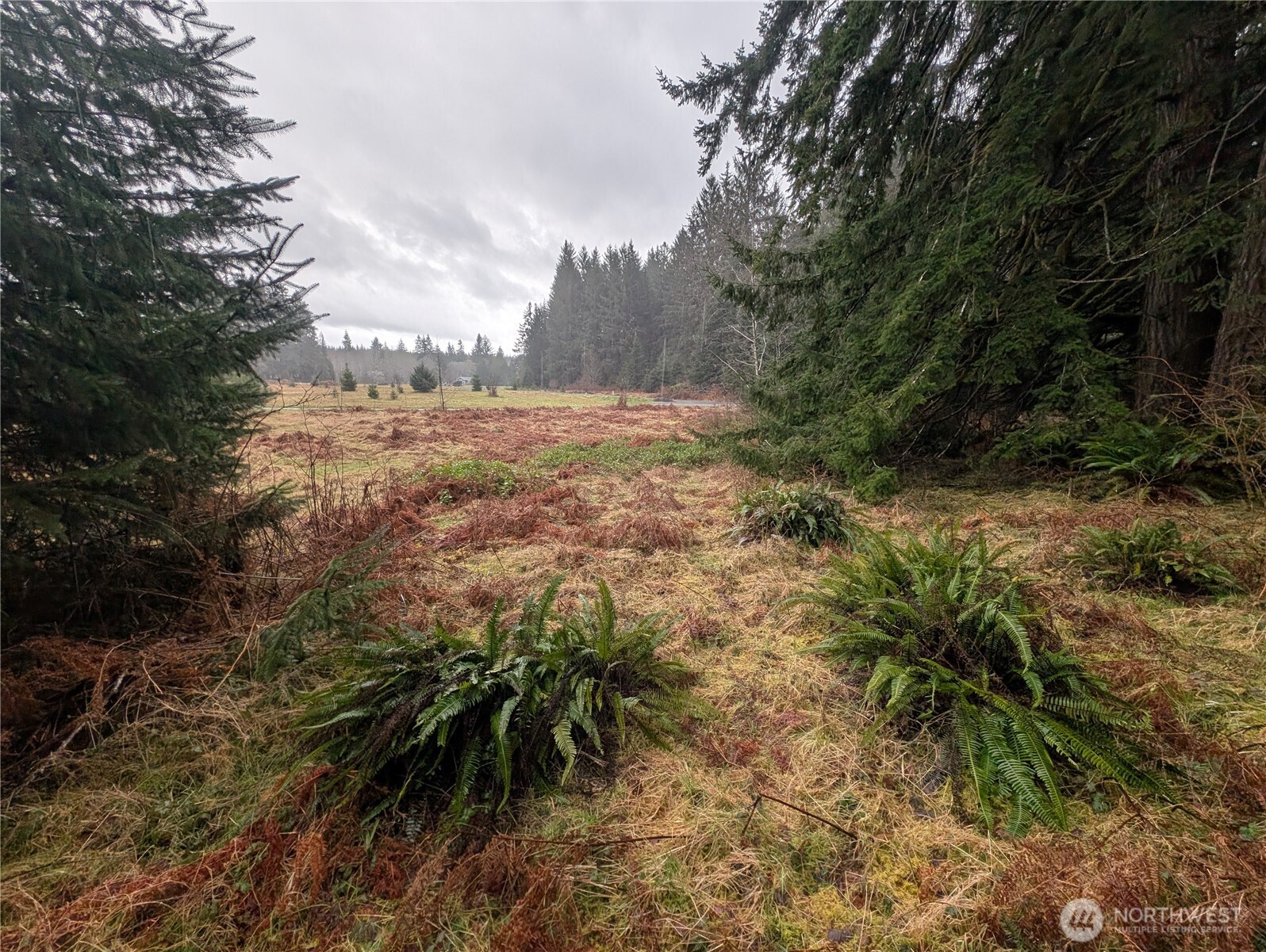 9991 Quillayute Road , Forks, WA 98331