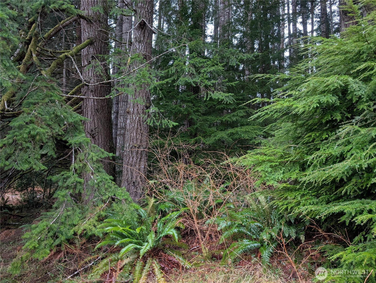 9991 Quillayute Road , Forks, WA 98331