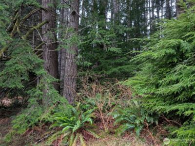 9991 Quillayute Road , Forks, WA 98331 - Photo 29