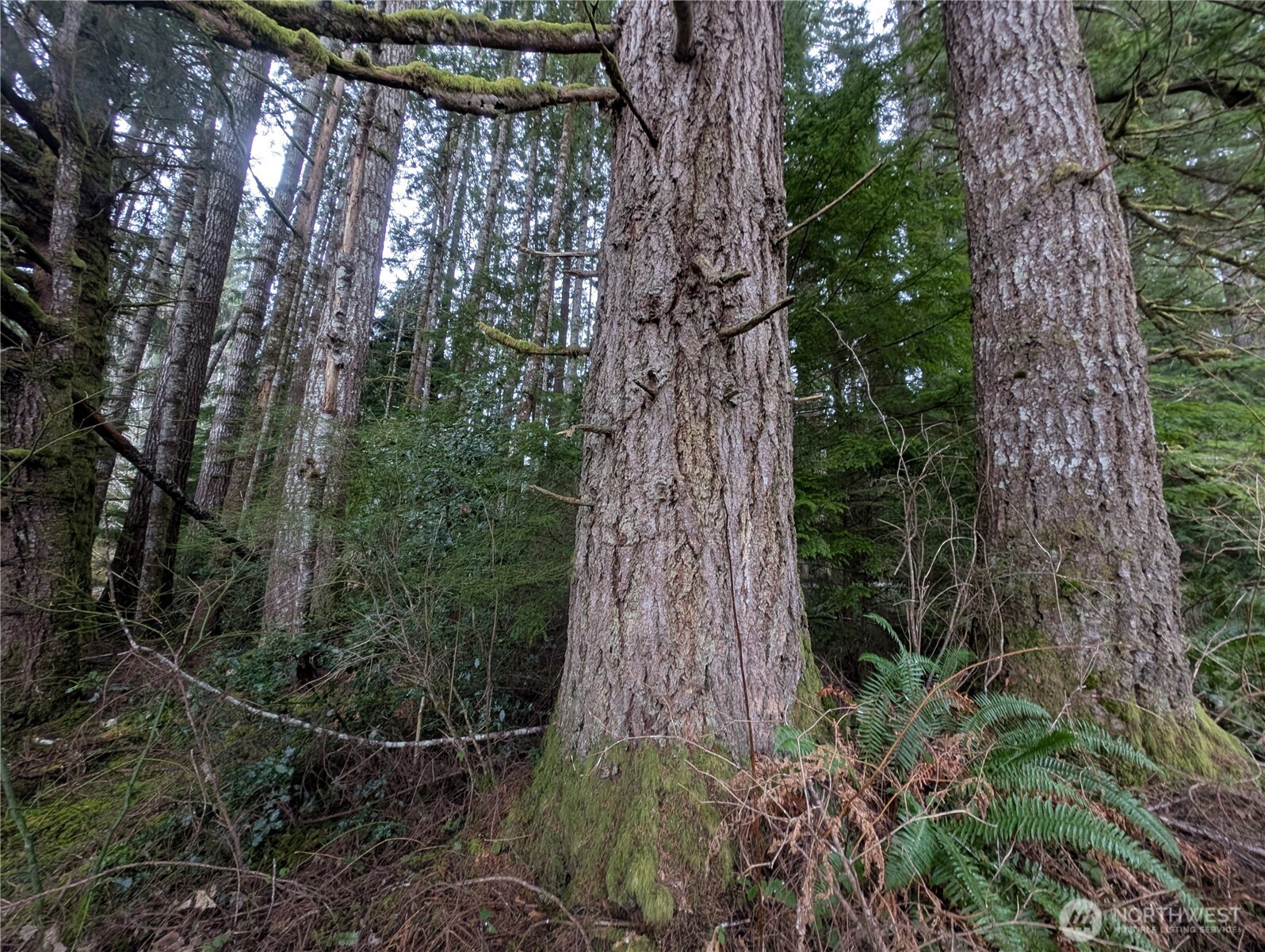 9991 Quillayute Road , Forks, WA 98331