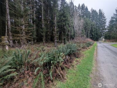 9991 Quillayute Road , Forks, WA 98331 - Photo 4