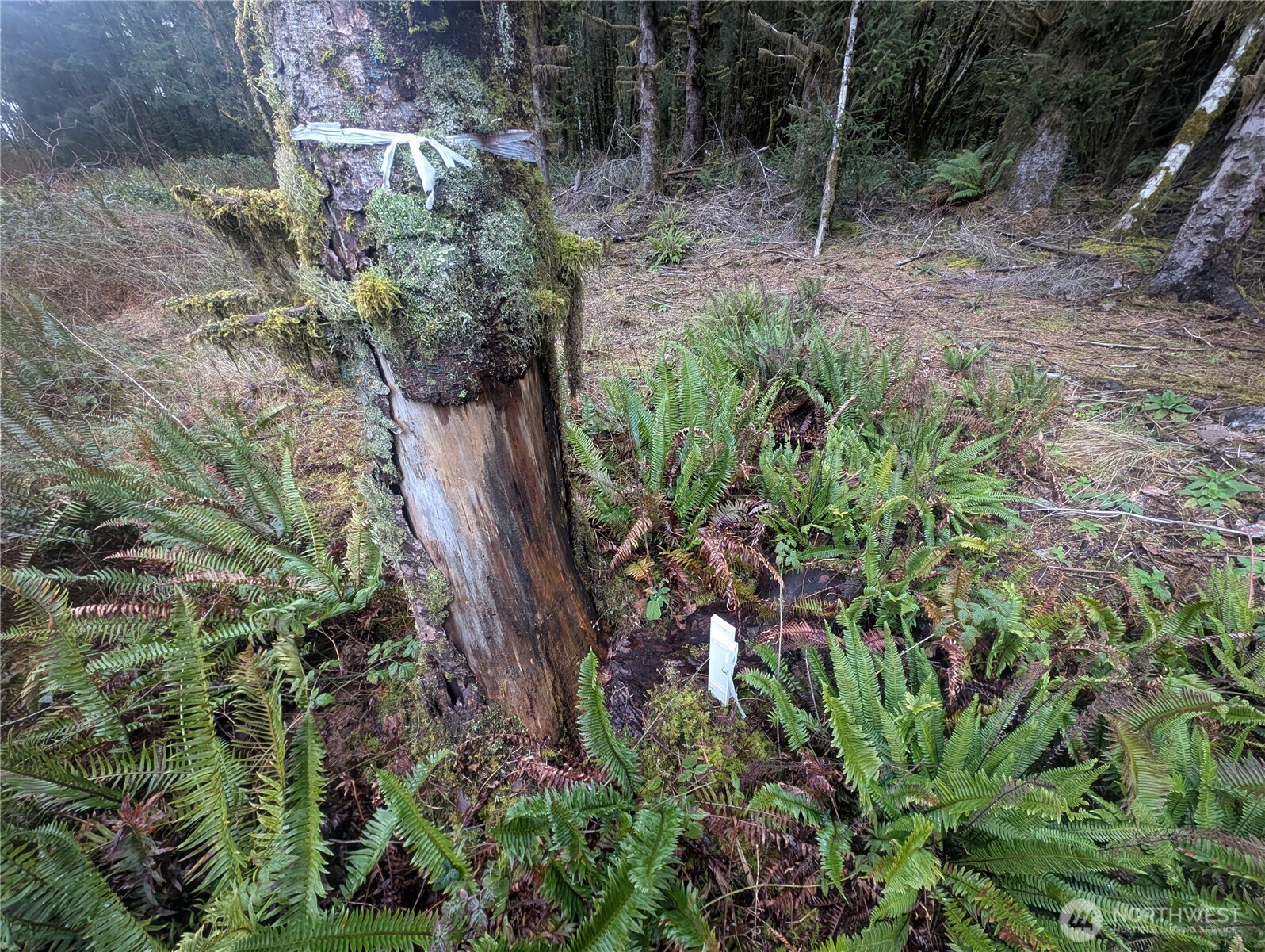 9991 Quillayute Road , Forks, WA 98331