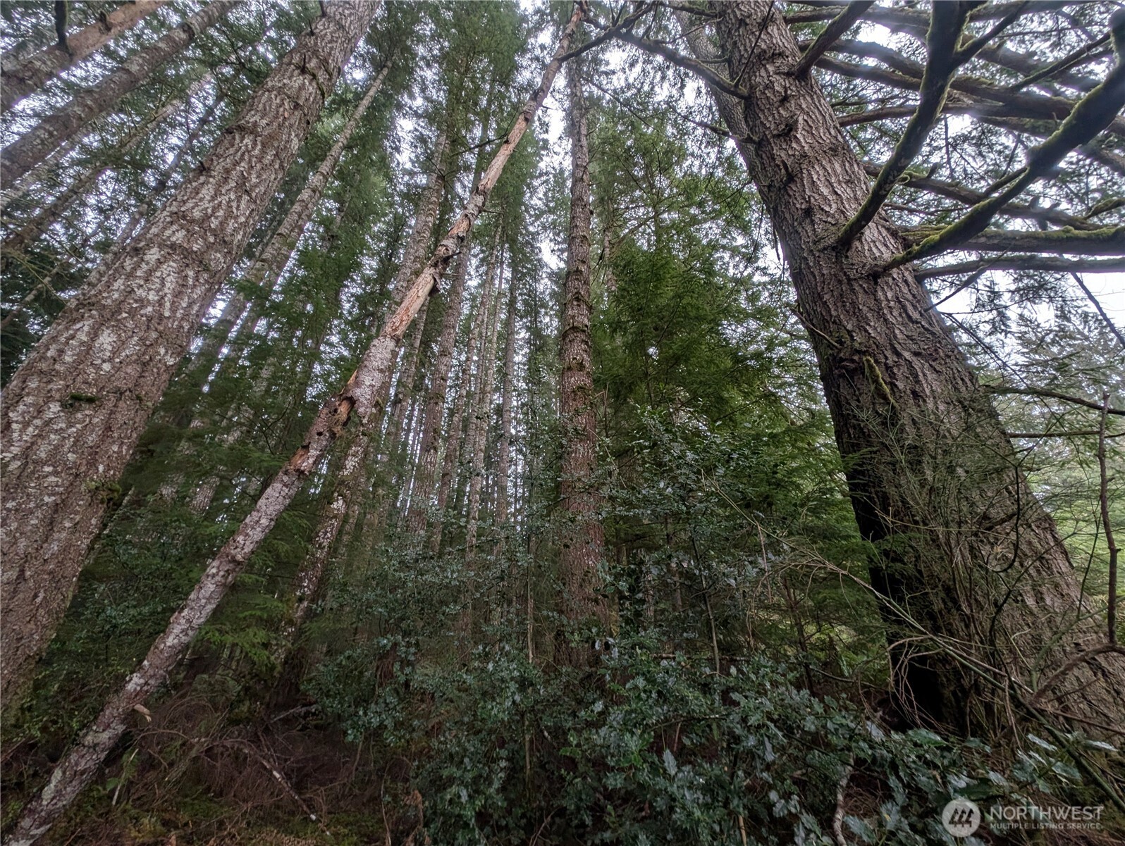 9991 Quillayute Road , Forks, WA 98331