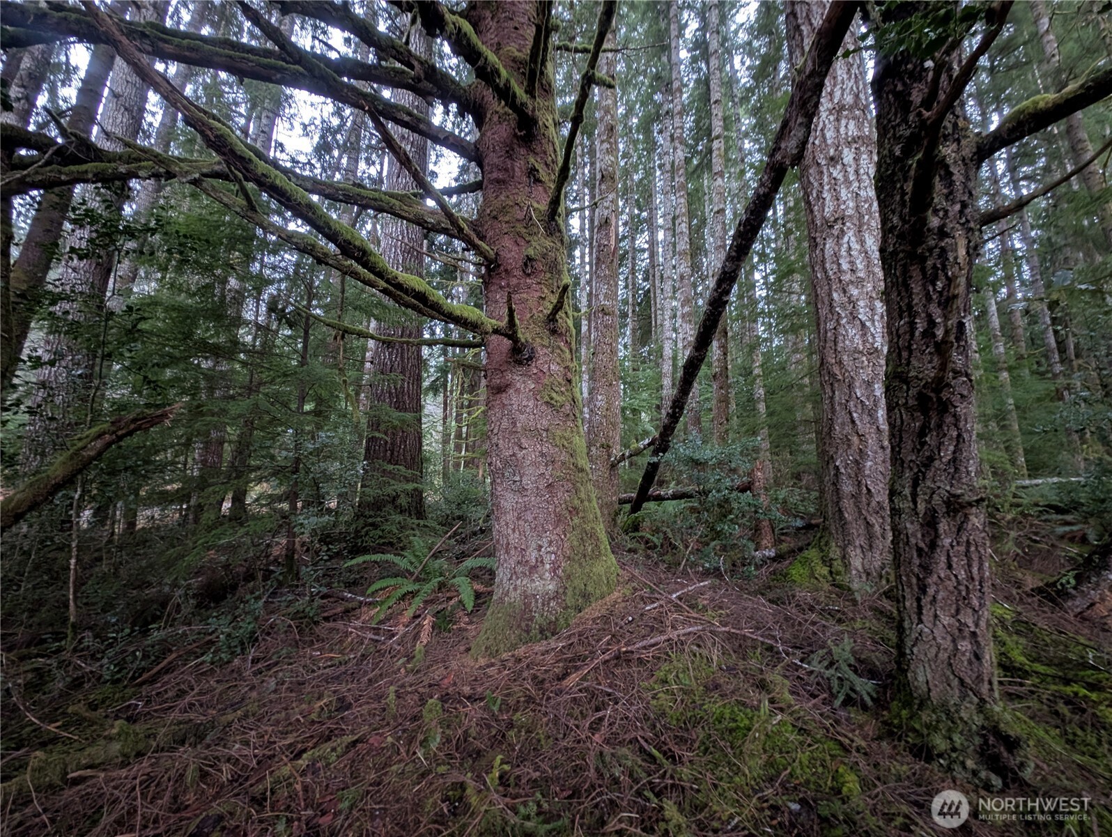 9991 Quillayute Road , Forks, WA 98331