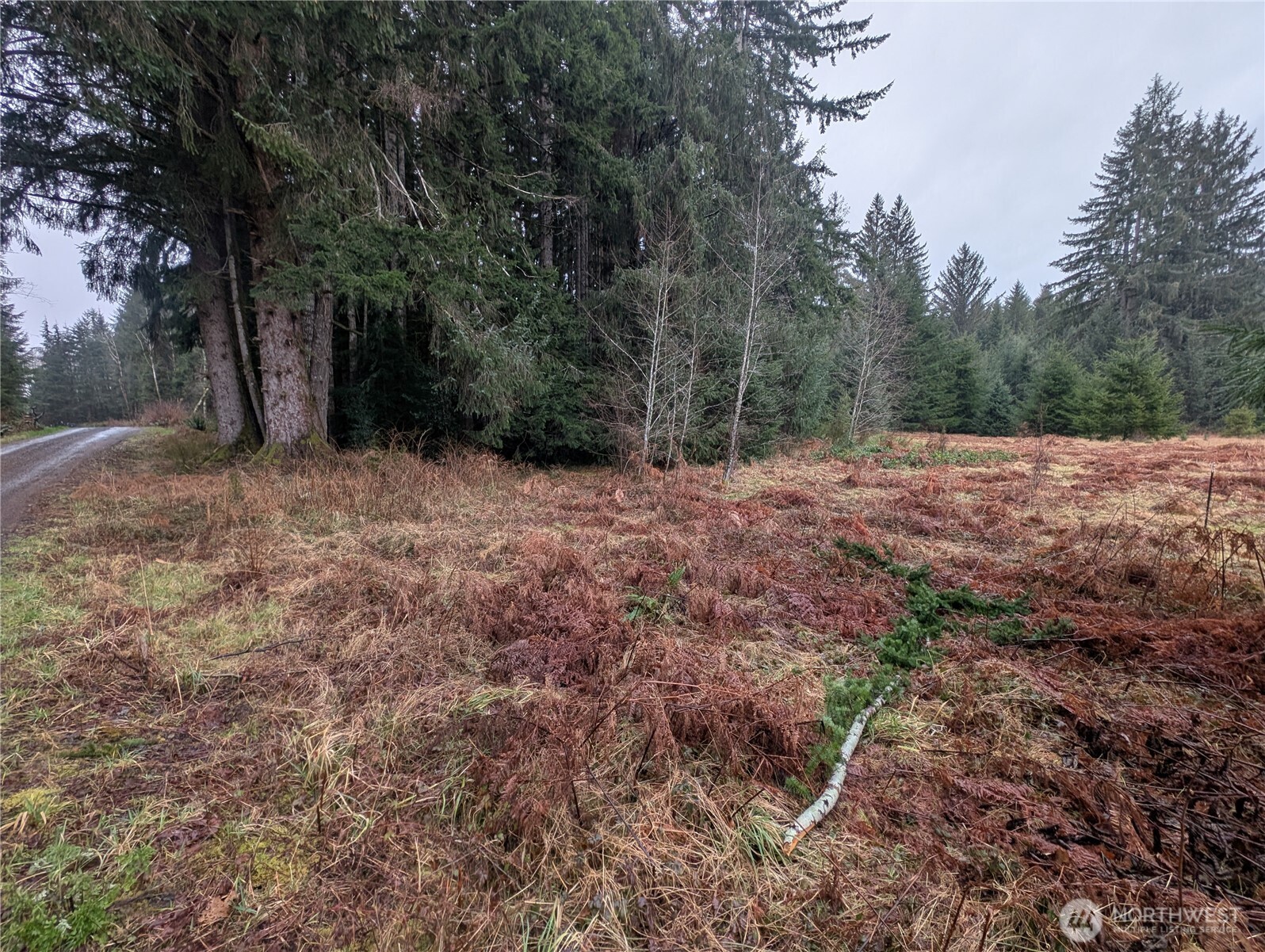 9991 Quillayute Road , Forks, WA 98331