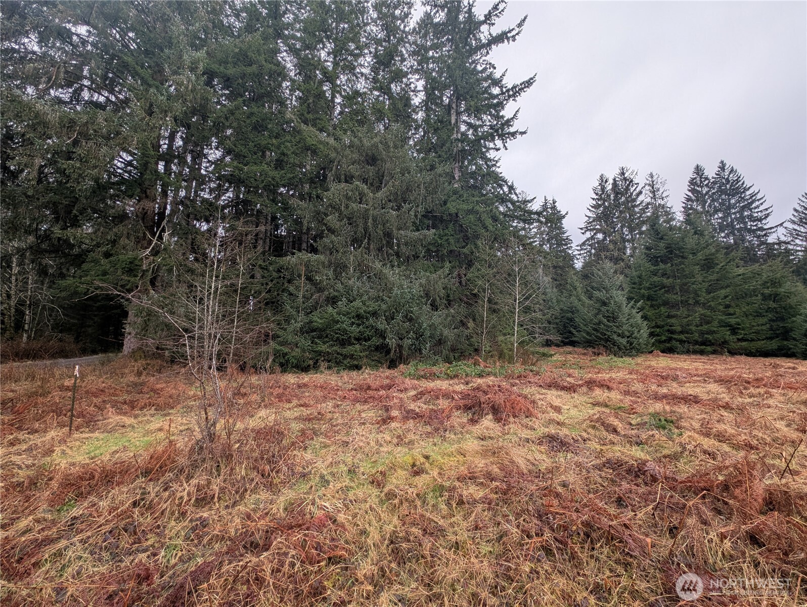 9991 Quillayute Road , Forks, WA 98331