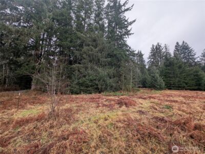 9991 Quillayute Road , Forks, WA 98331 - Photo 34