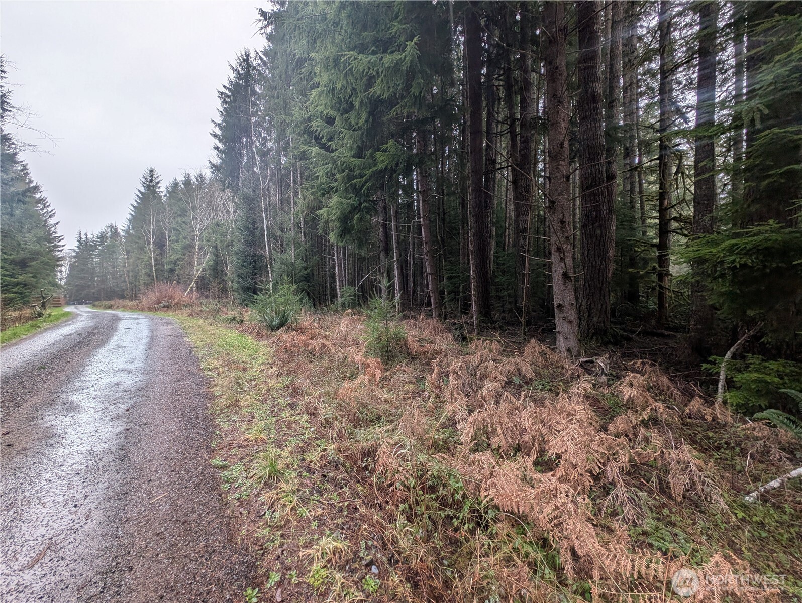 9991 Quillayute Road , Forks, WA 98331