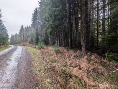 9991 Quillayute Road , Forks, WA 98331 - Photo 35