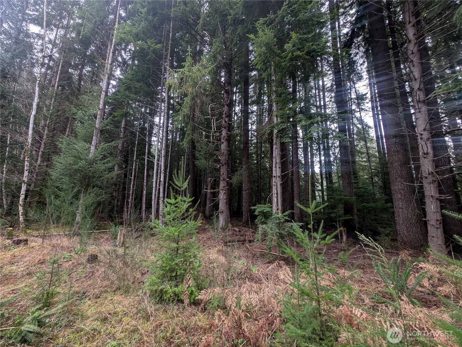 9991 Quillayute Road , Forks, WA 98331