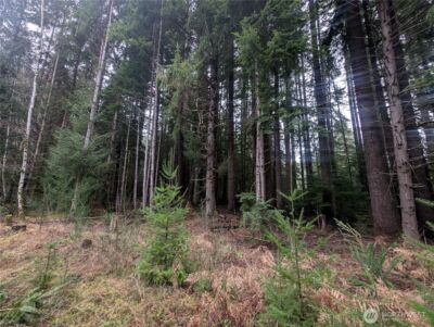 9991 Quillayute Road , Forks, WA 98331 - Photo 36