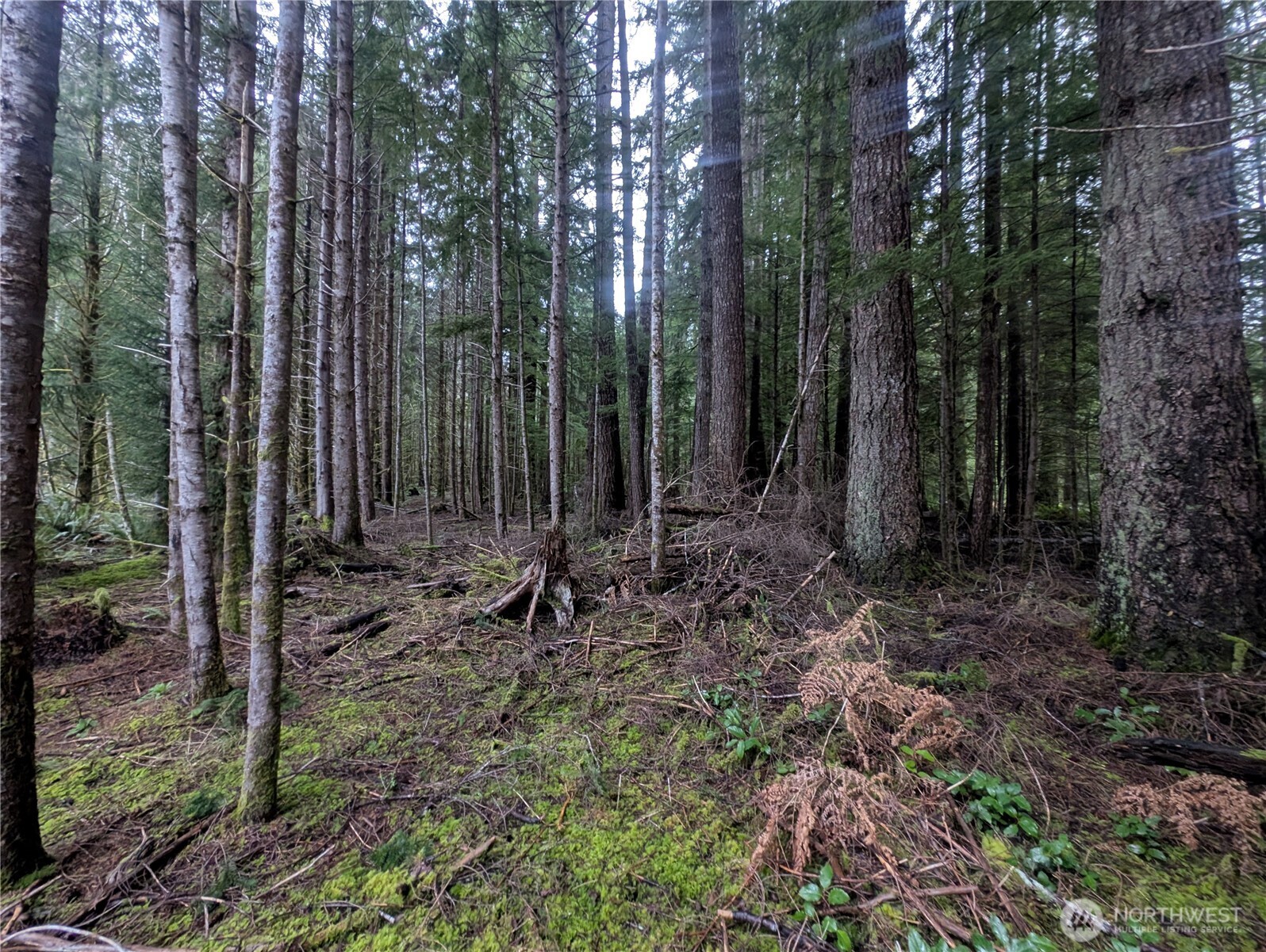 9991 Quillayute Road , Forks, WA 98331