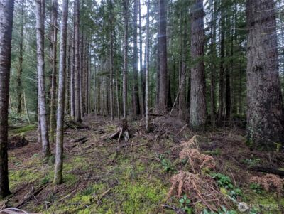 9991 Quillayute Road , Forks, WA 98331 - Photo 37