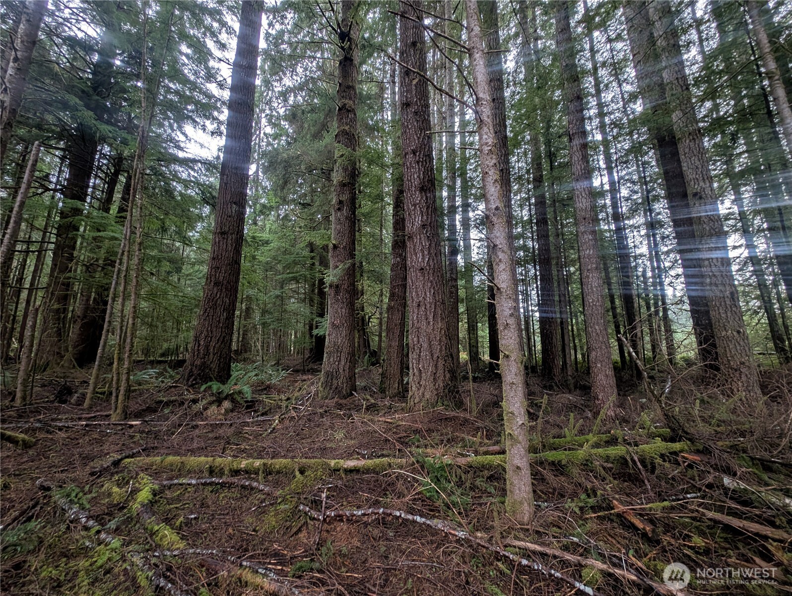 9991 Quillayute Road , Forks, WA 98331