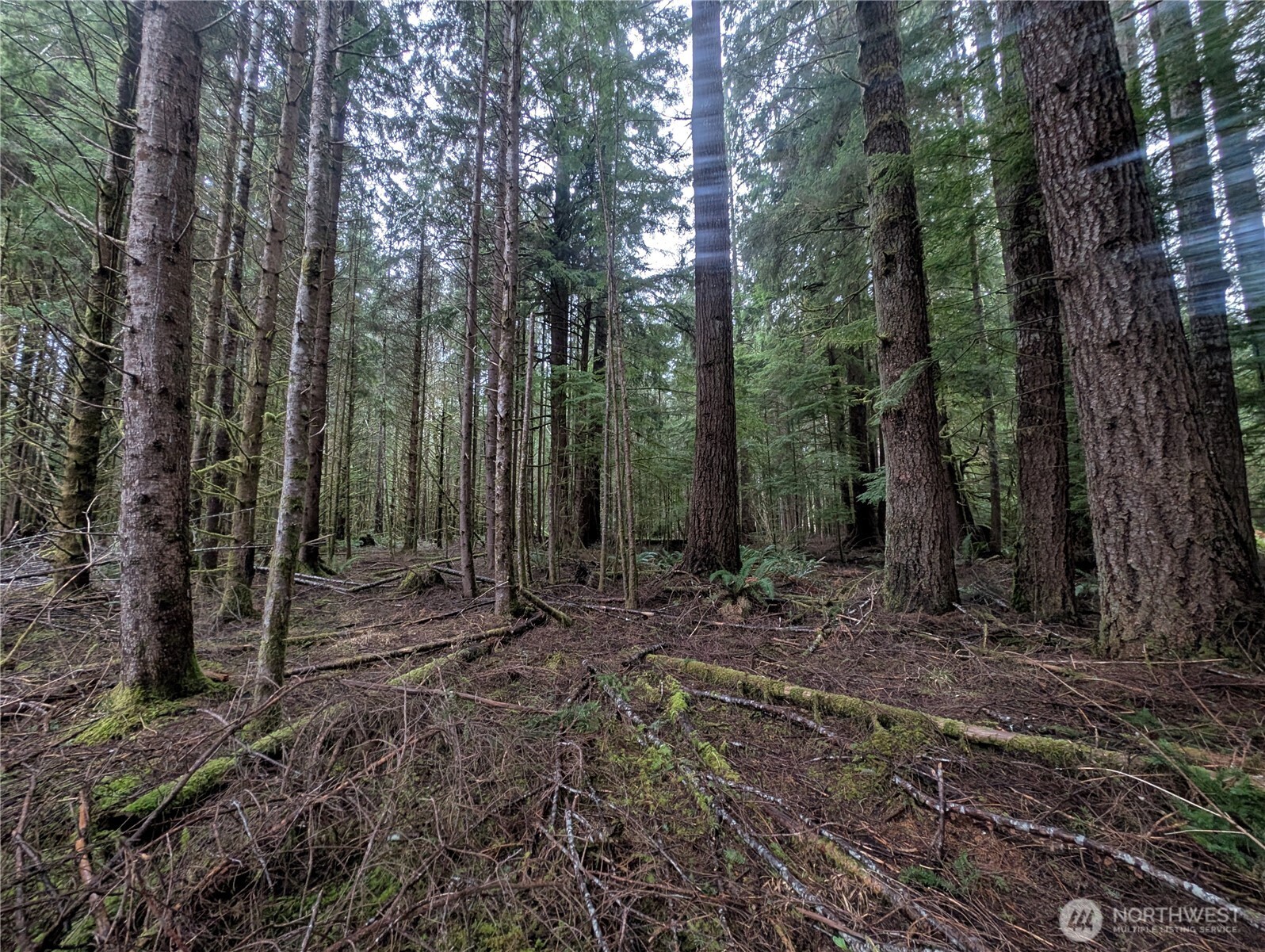 9991 Quillayute Road , Forks, WA 98331