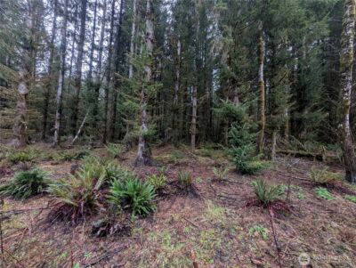 9991 Quillayute Road , Forks, WA 98331 - Photo 40