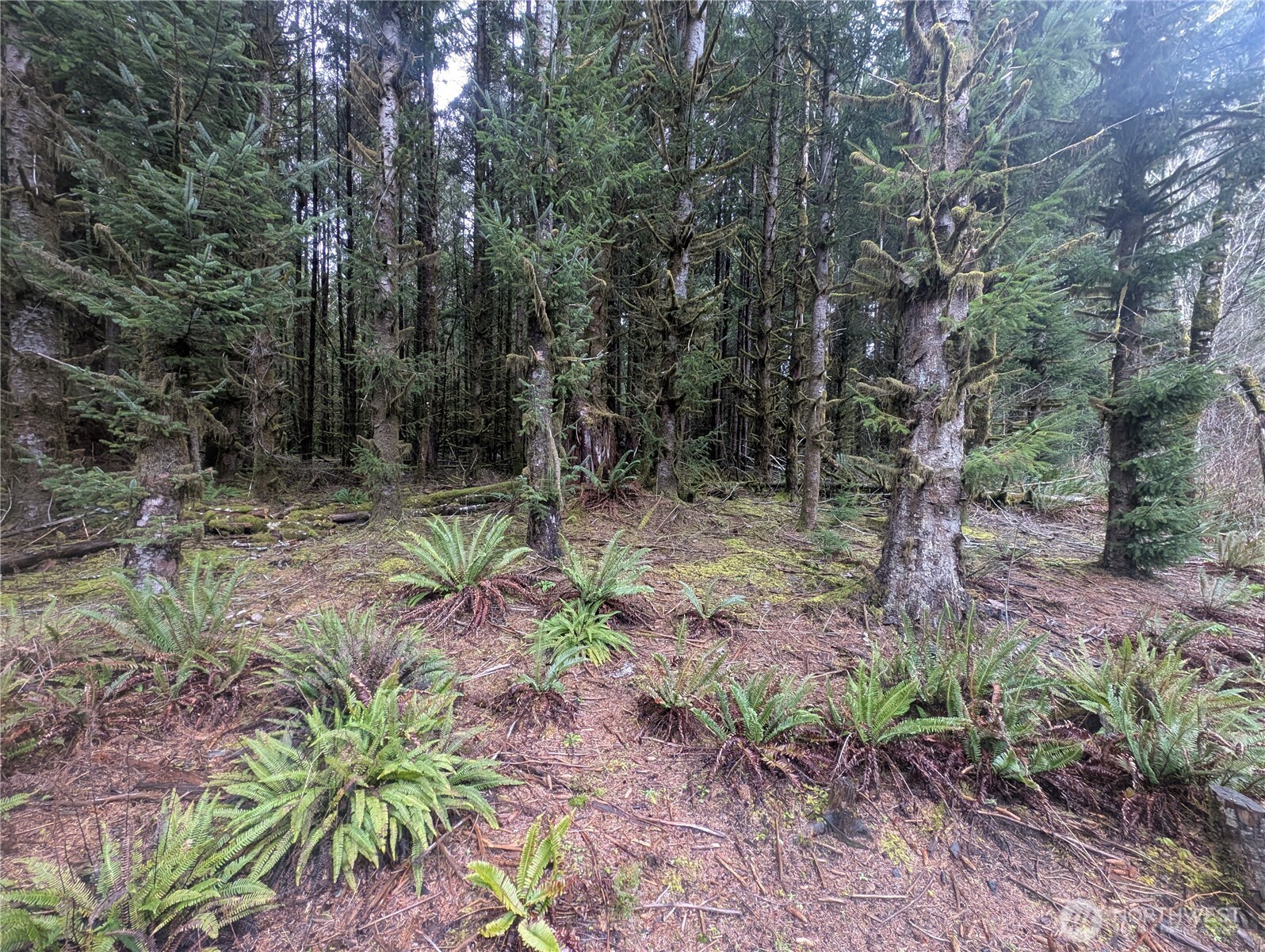 9991 Quillayute Road , Forks, WA 98331