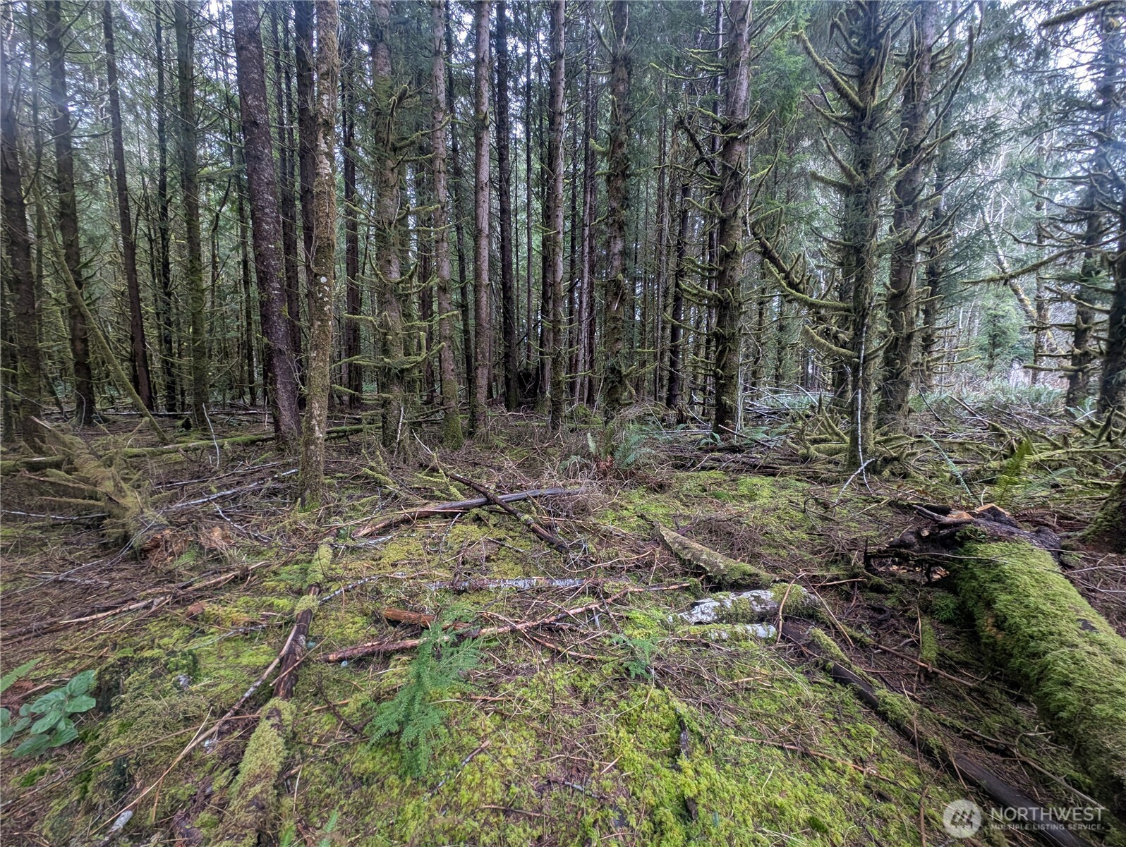 9991 Quillayute Road , Forks, WA 98331