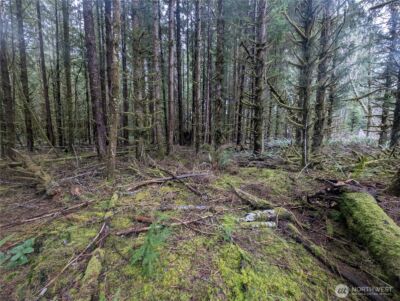 9991 Quillayute Road , Forks, WA 98331 - Photo 7
