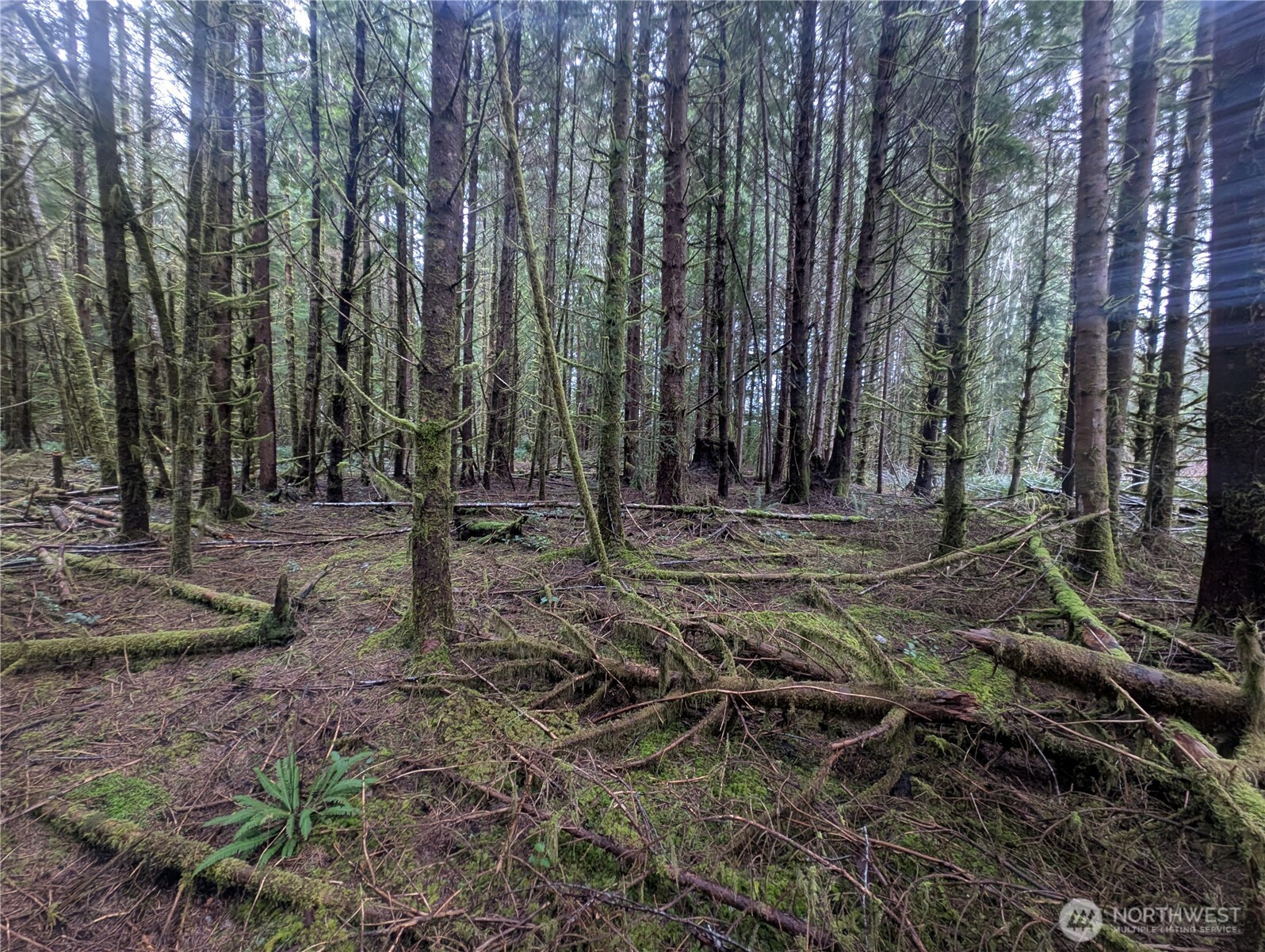 9991 Quillayute Road , Forks, WA 98331